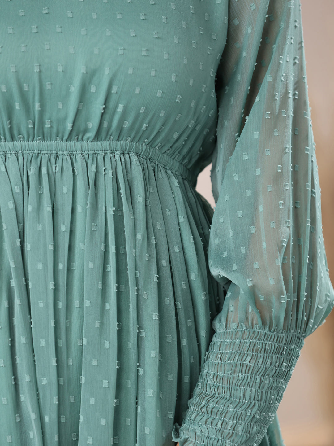 Sage Green Dobby Chiffon Self Design Fit & Flare Dress